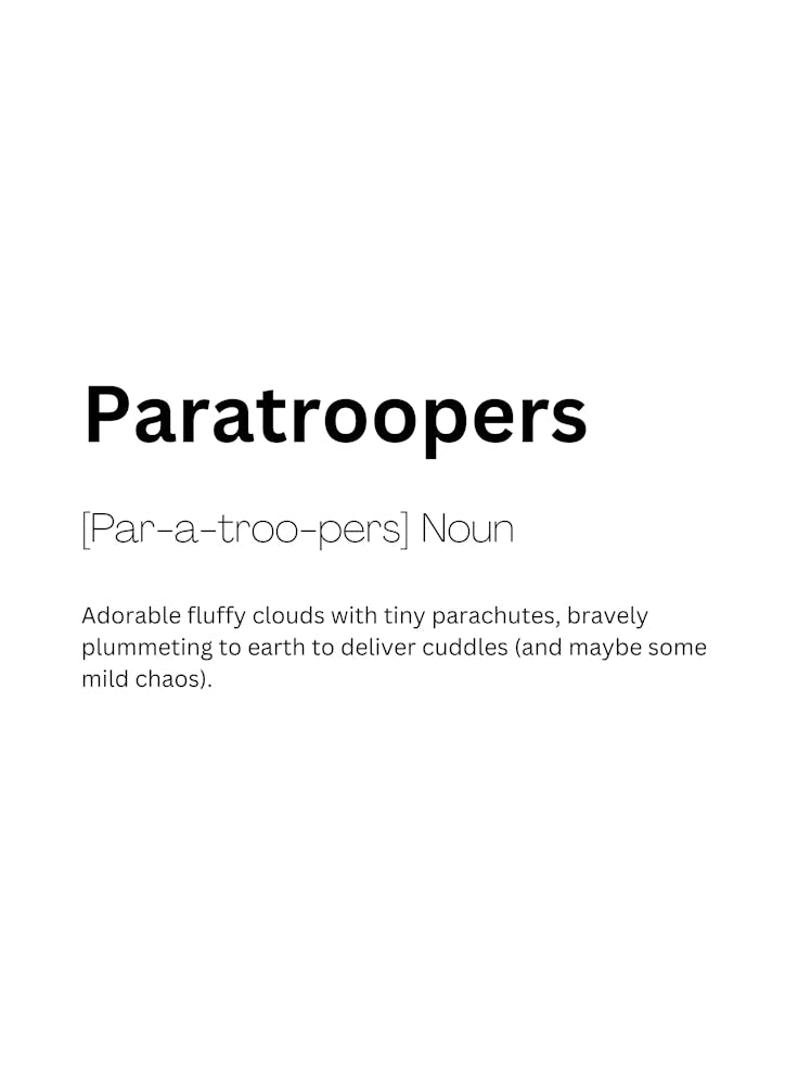 Paratroopers Definition Meaning