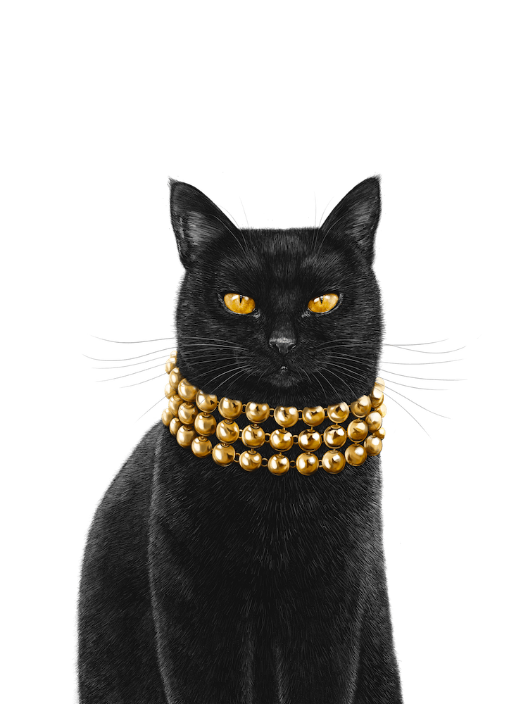 Luxury Black Cat
