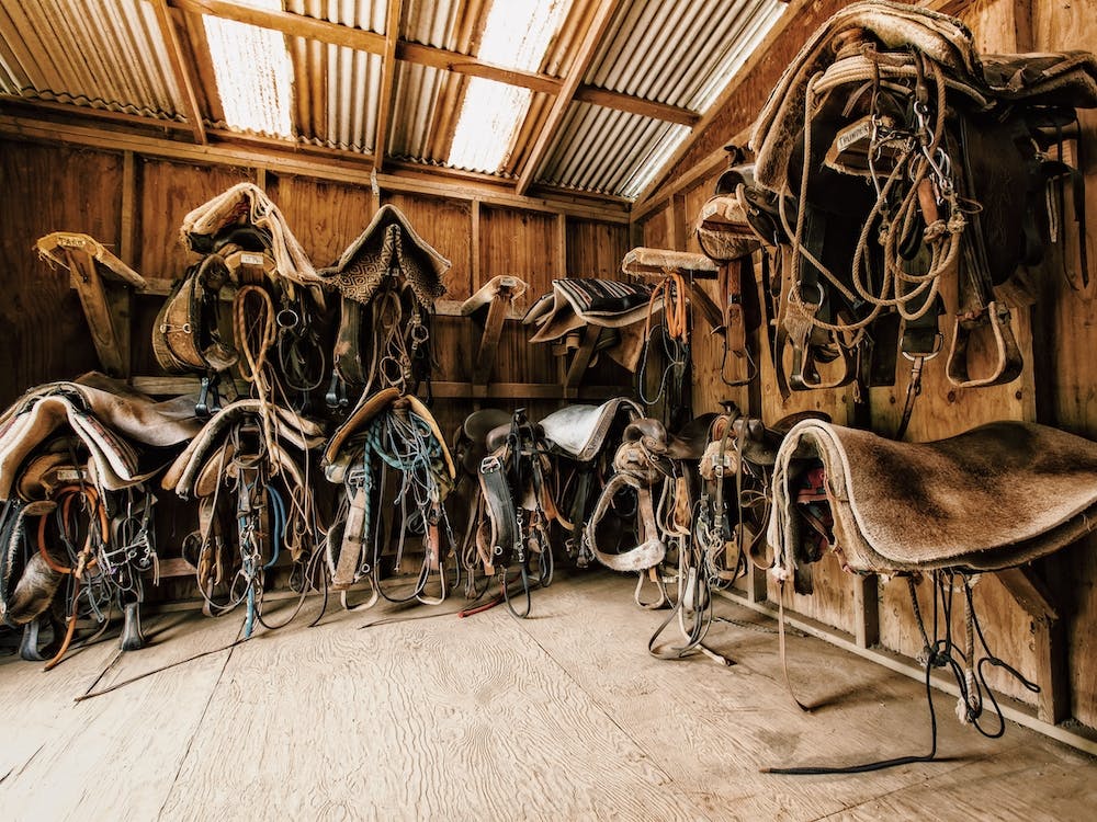 Western Saddle Collection