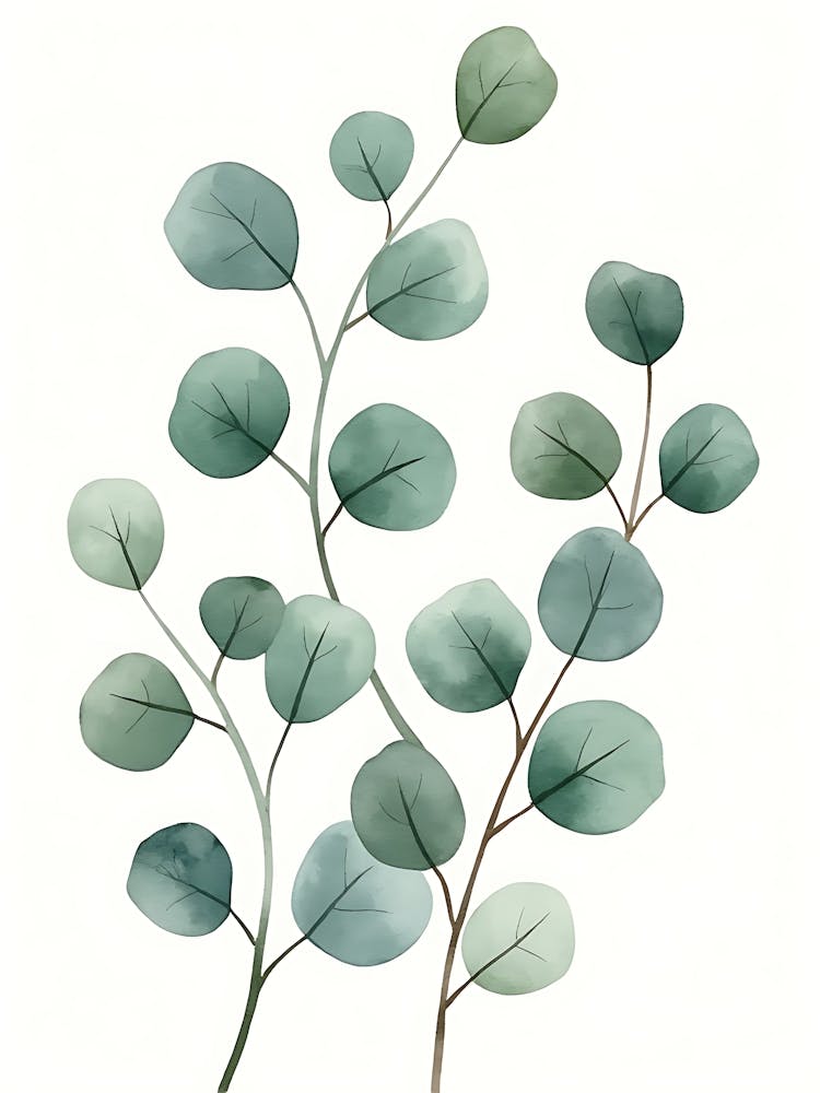 Minimalist Sage Green Eucalyptus Branches