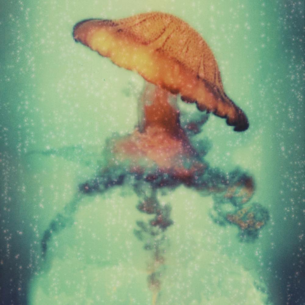 An Ocean Away