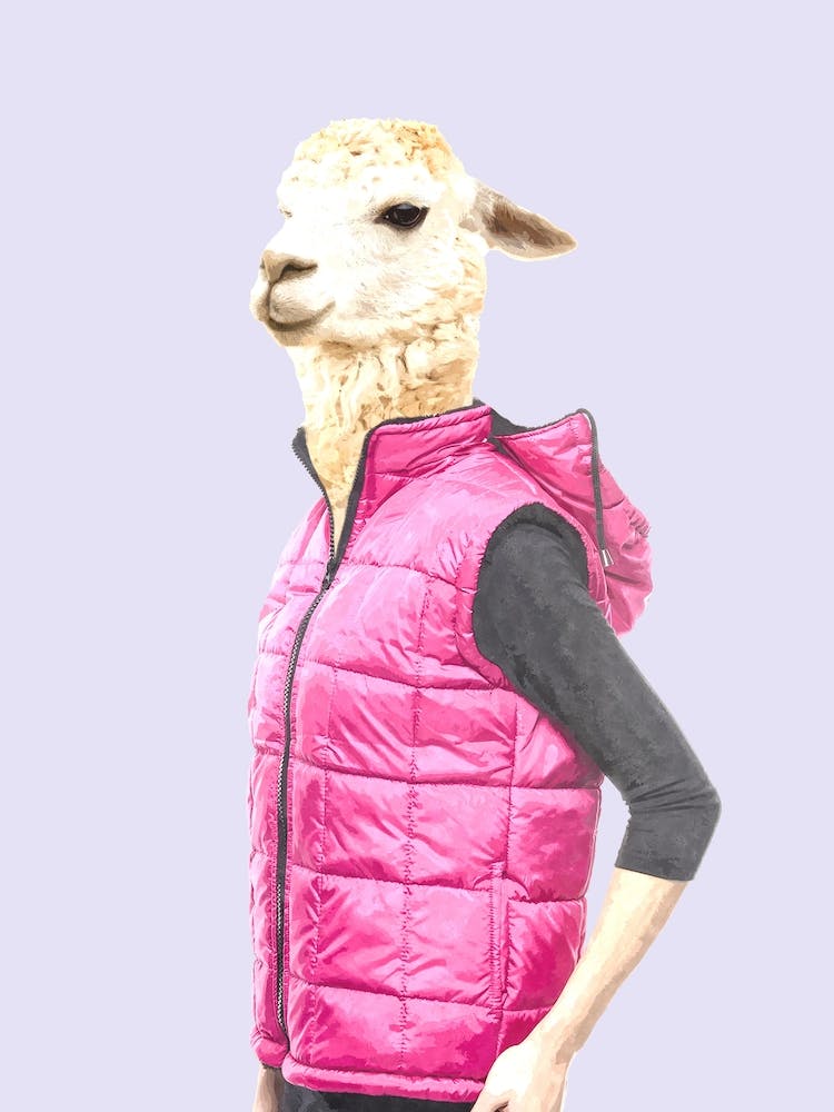Trendy Llama