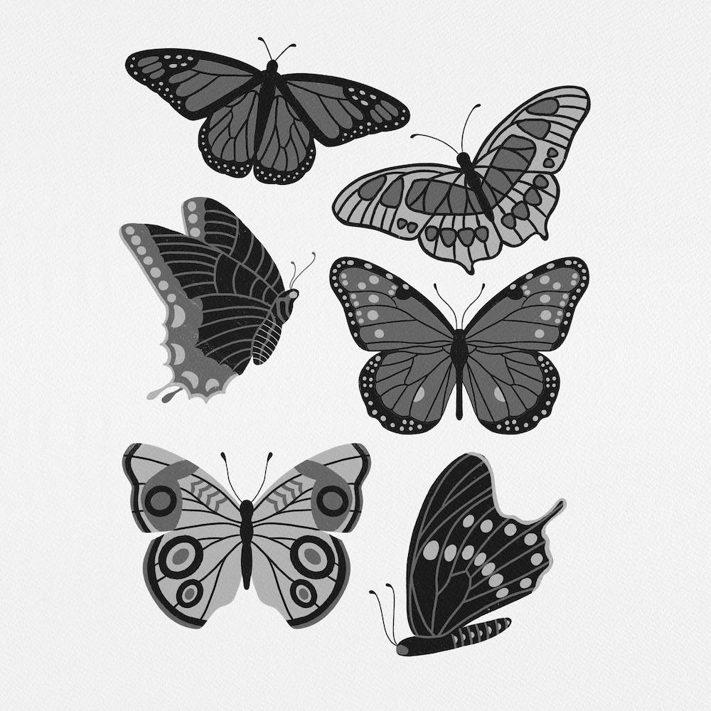 Texas Butterflies   Black And White Square