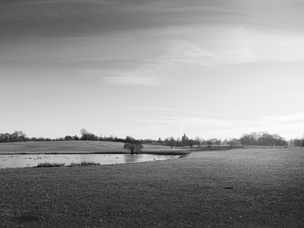 Beautiful Rural Landscape