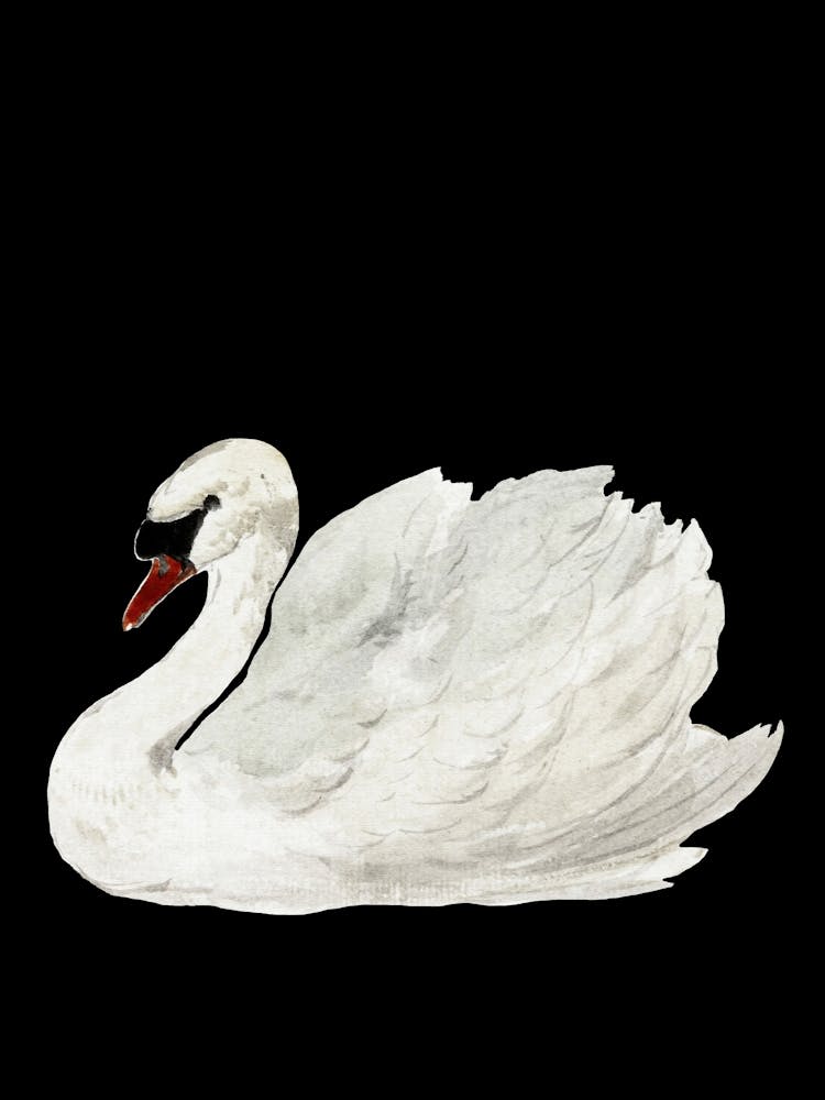 Schwan Vintage Kunst, Dunkle und Stimmungsreiche Schwanenkunst