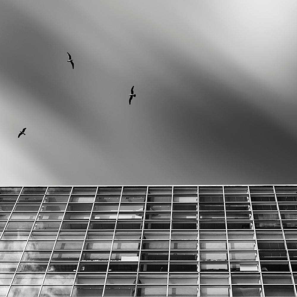 comatose square
