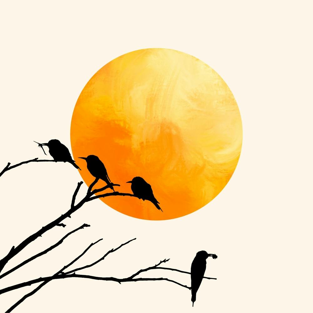 Sun And Bird Design 1