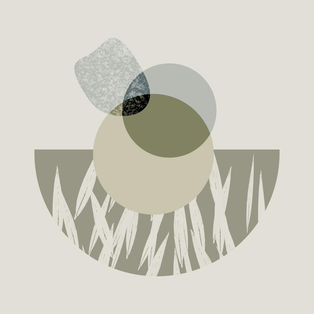 Circles In The Grass