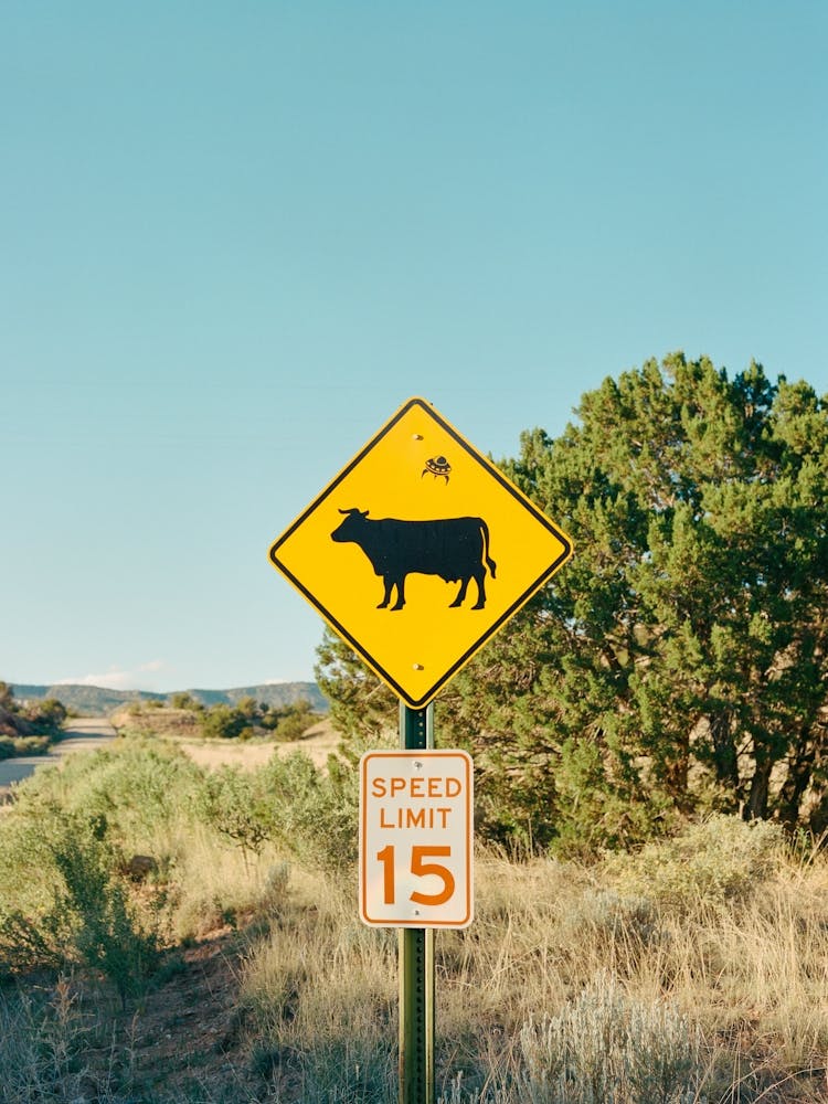 Ghost Ranch XI on Film