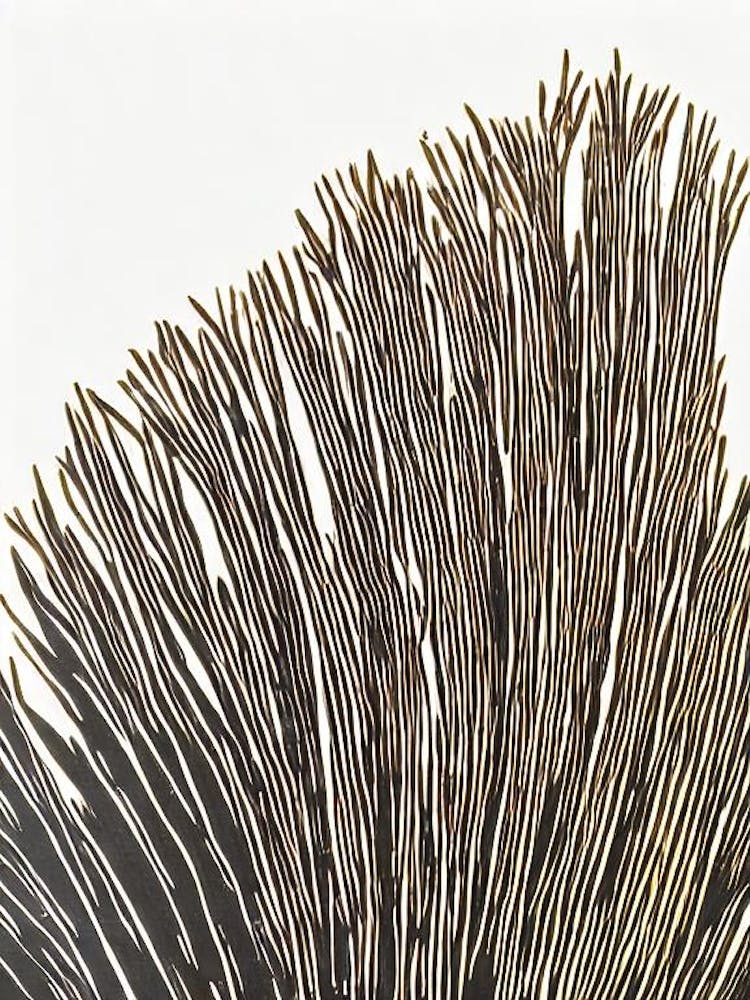 Acropora Pulchra Linocut