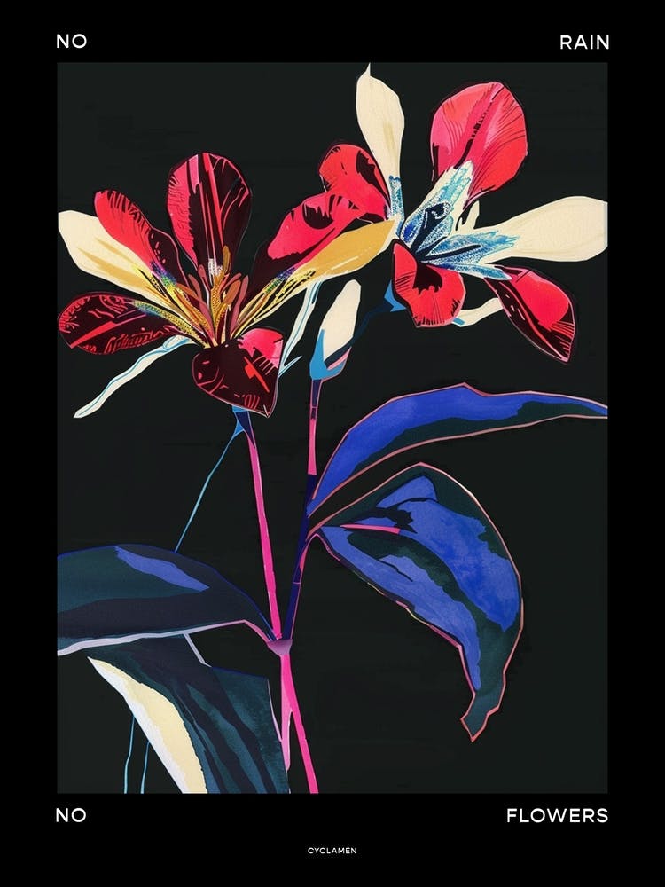 No Rain No Flowers Poster Cyclamen 1