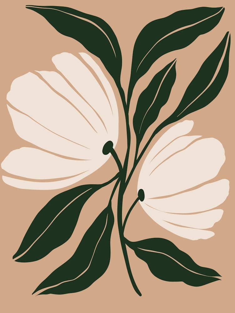 Magnolia 3