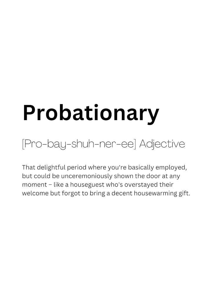 Probationary Definition Meaning 1