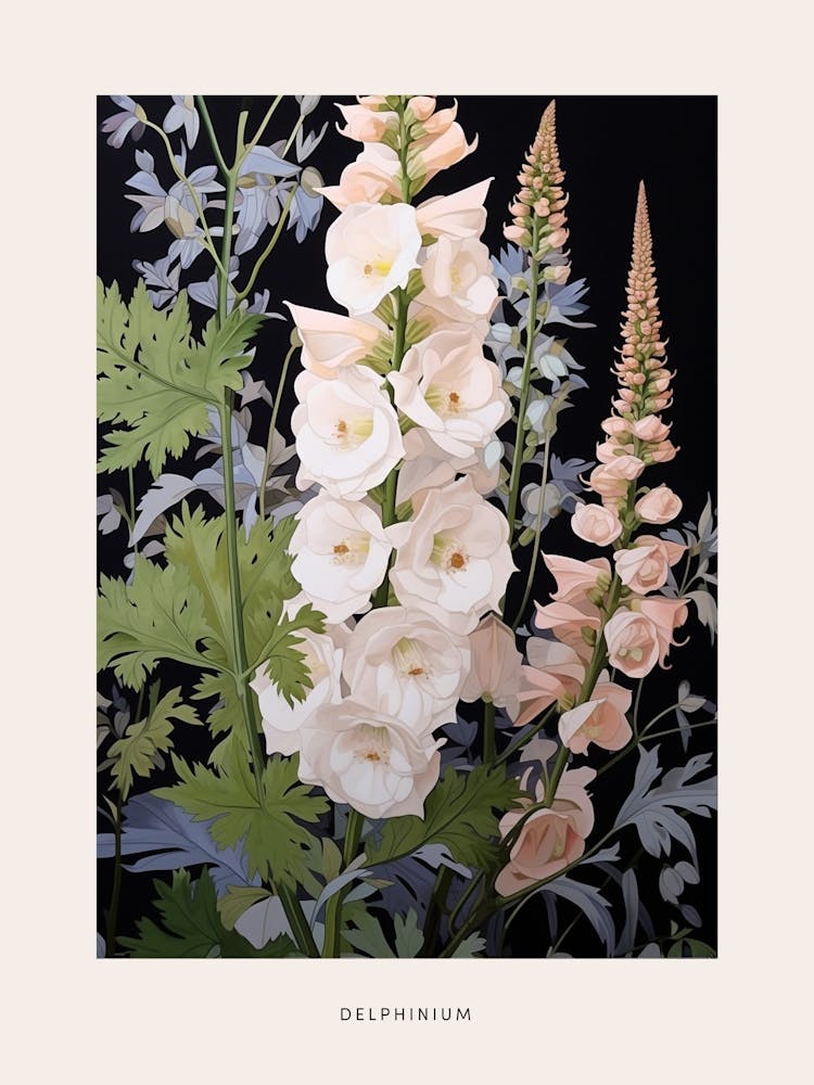 Blumenillustration Rittersporn 1 Poster