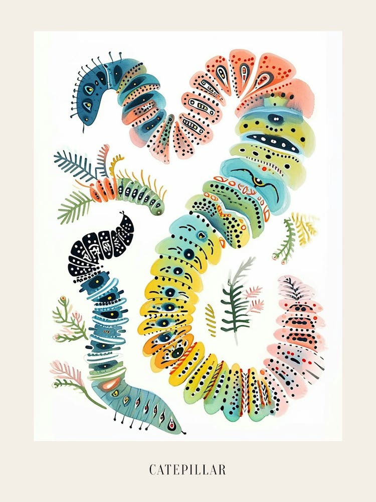 Colourful Insect Illustration Catepillar 2 Poster
