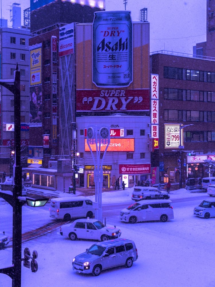 City In The Snow - Sapporo JPN