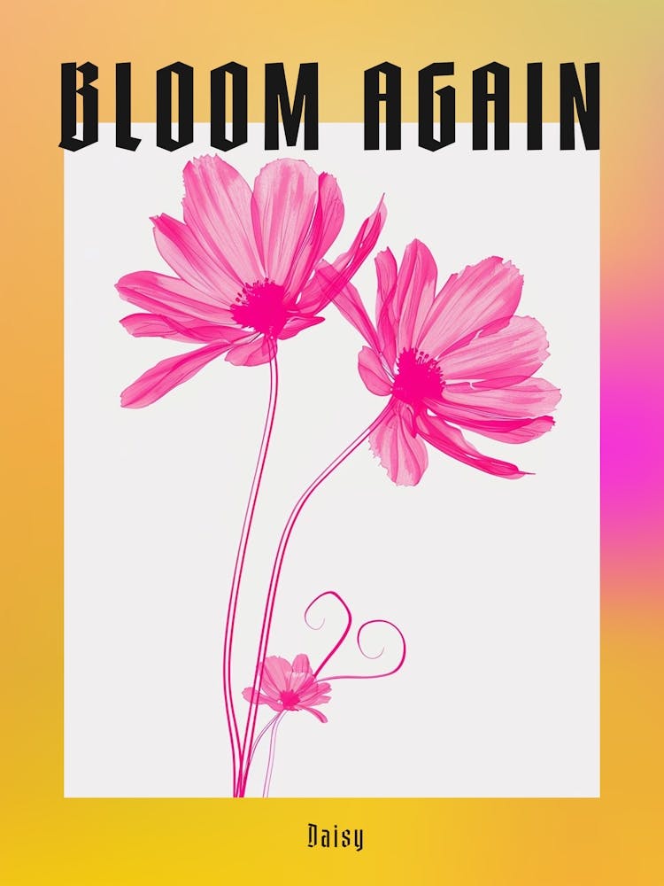 Hot Pink Daisy 3 Poster