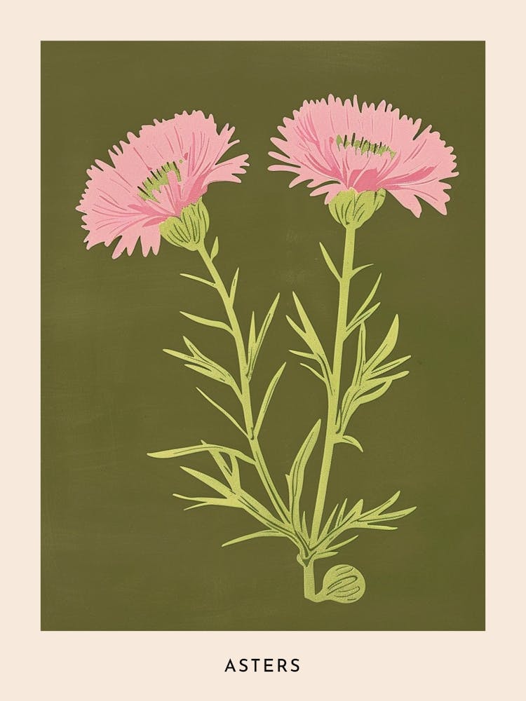 Pink & Green Asters 4 Flower Poster