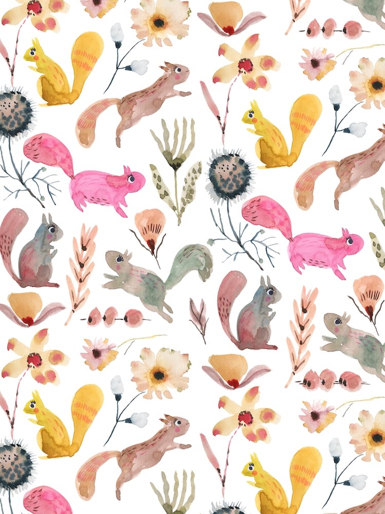 Woodland Squirrels