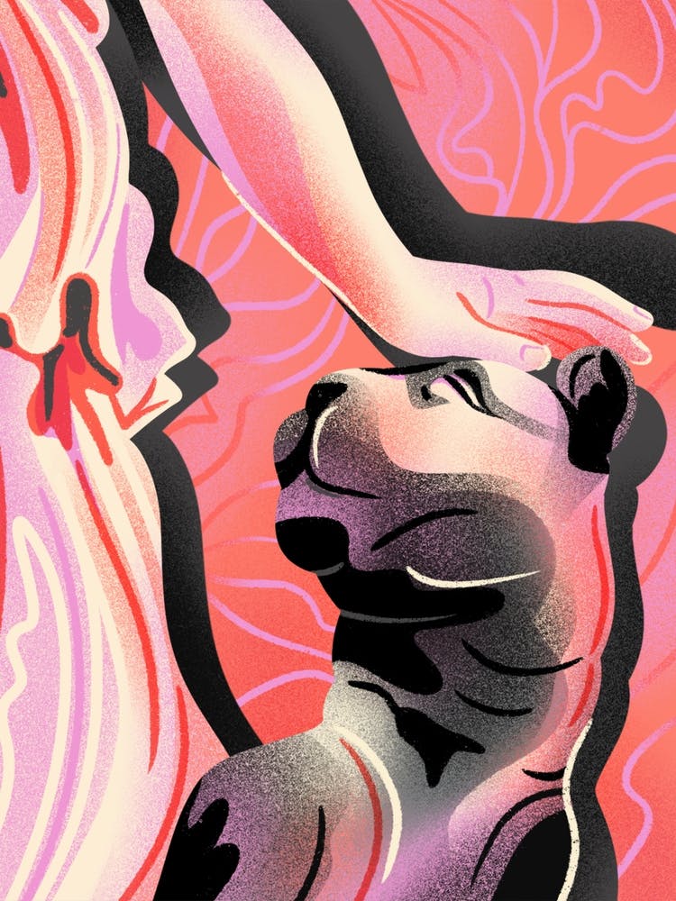 Greek Panther Pet Pat