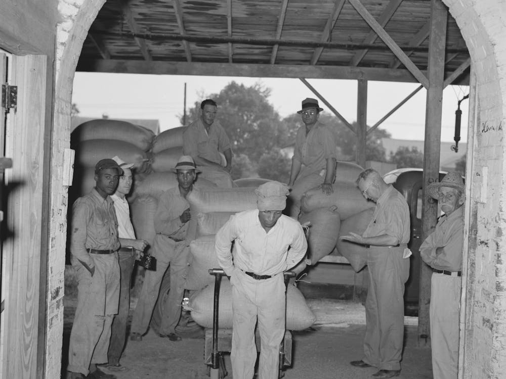 Unloading Rice From Farmers Trucks, Ricemill, Abbeville, Louisiana By Russell Lee