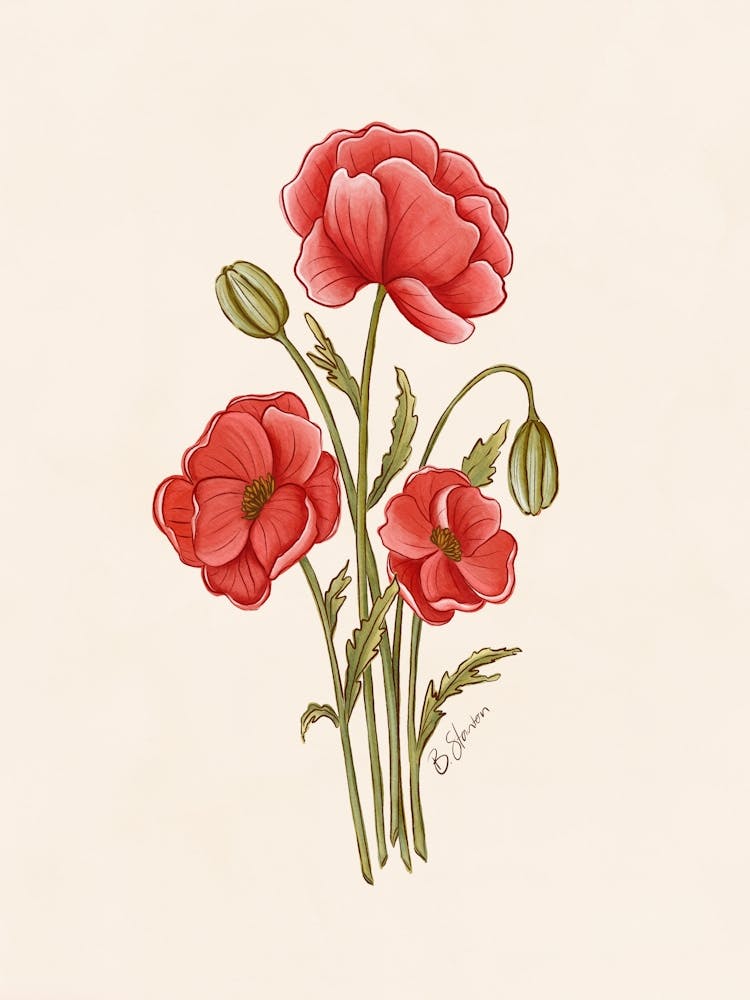 Red Poppies
