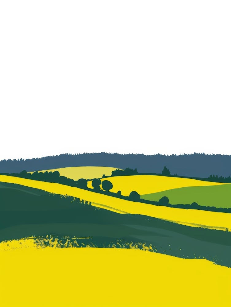 Rapsfeld 1