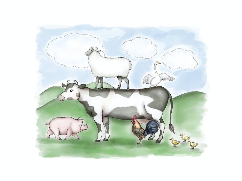 Farm Friends