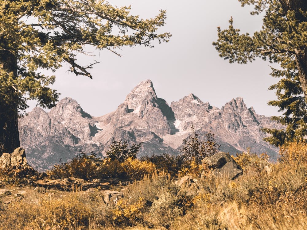 Autumn At Grand Teton National Park