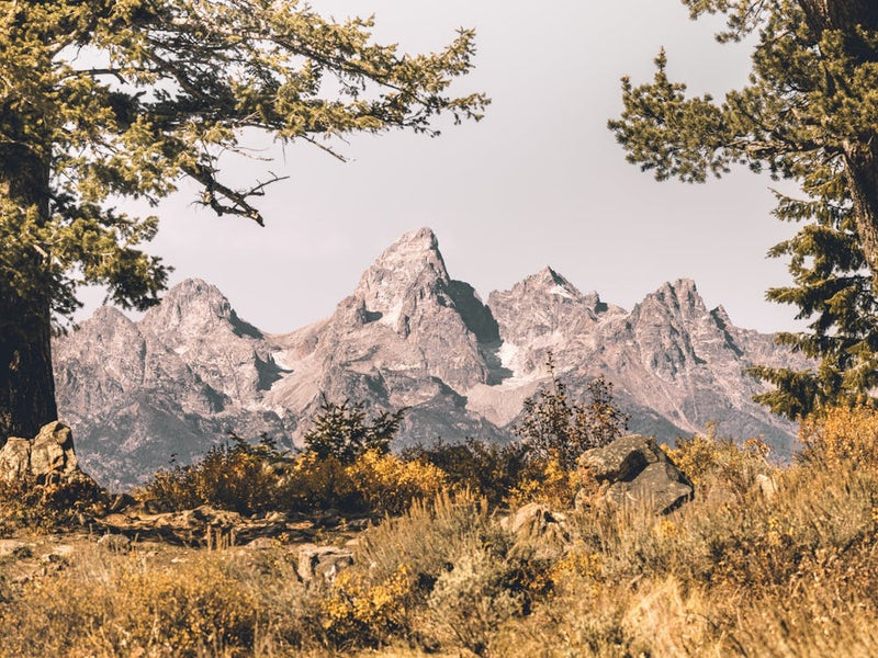 Autumn At Grand Teton National Park