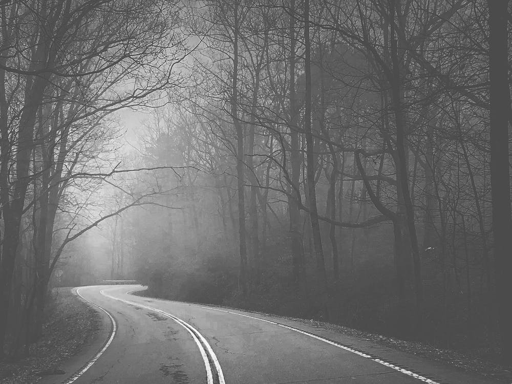 Foggy Road B&W