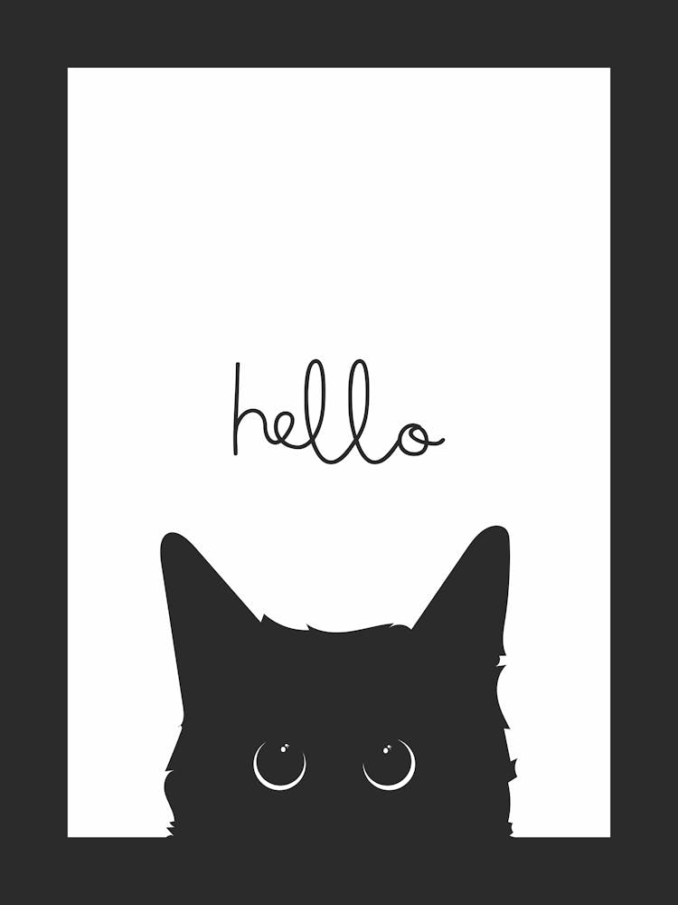 Hello Cat