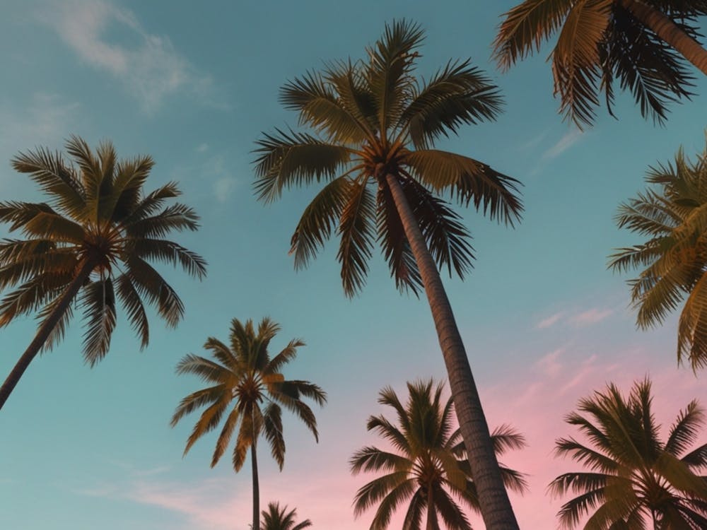 Leonardo Lightning Xl A Serene And Aesthetic View Of Tall Palm 0