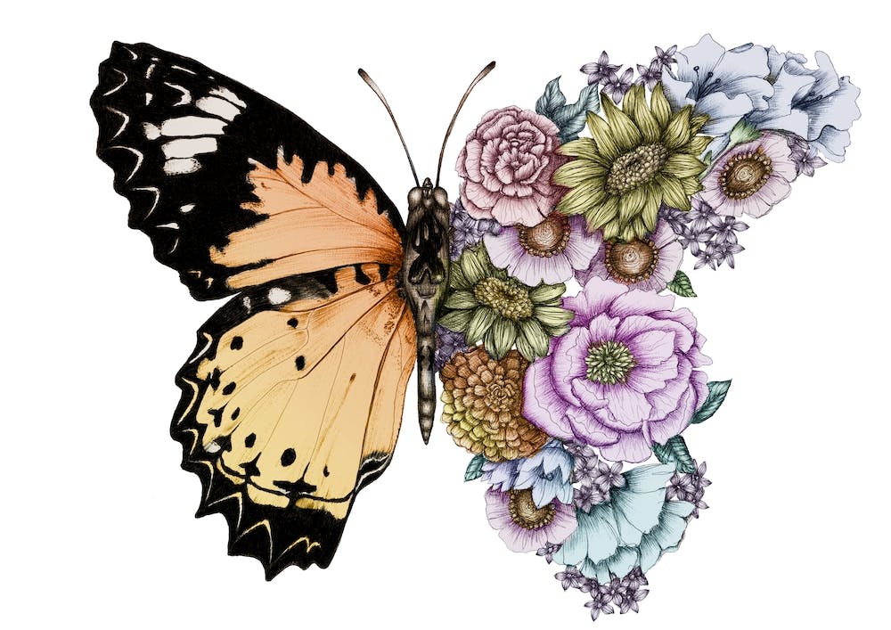 Butterfly in the Garden