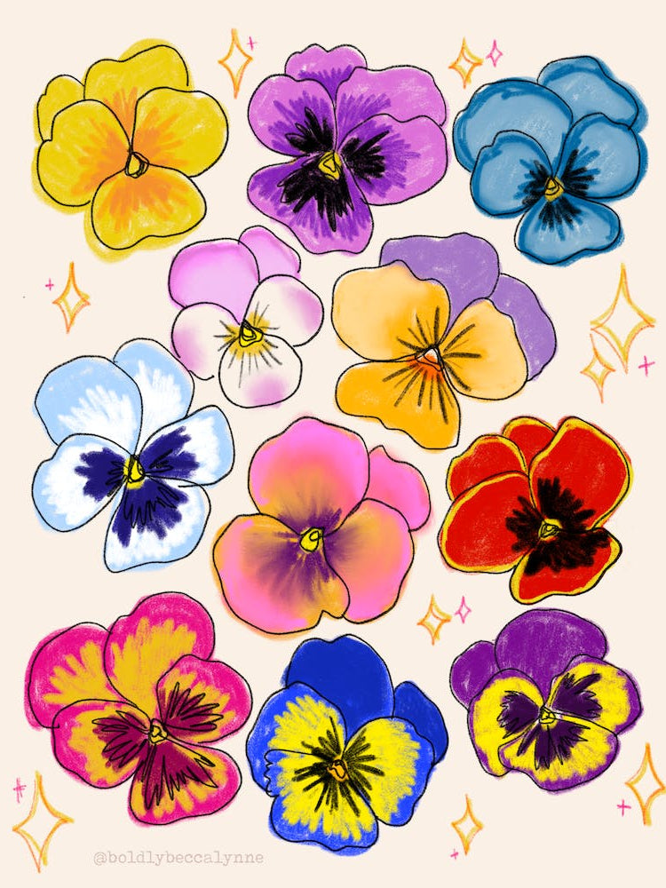 Pretty Pretty Pansies