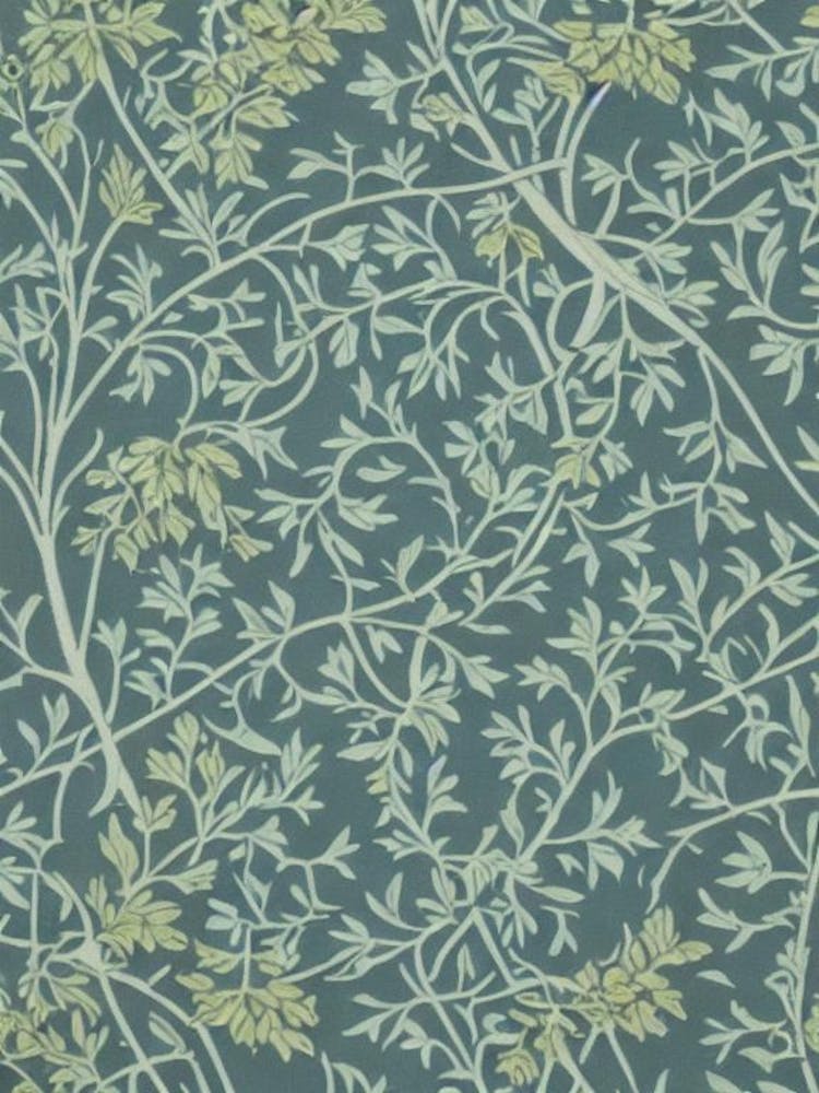 Honey 2 Locust tree Vintage Botanical