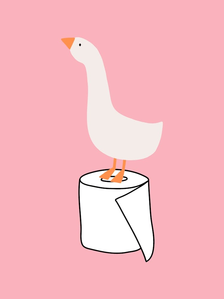 Silly Goose on Toilet Paper Pink