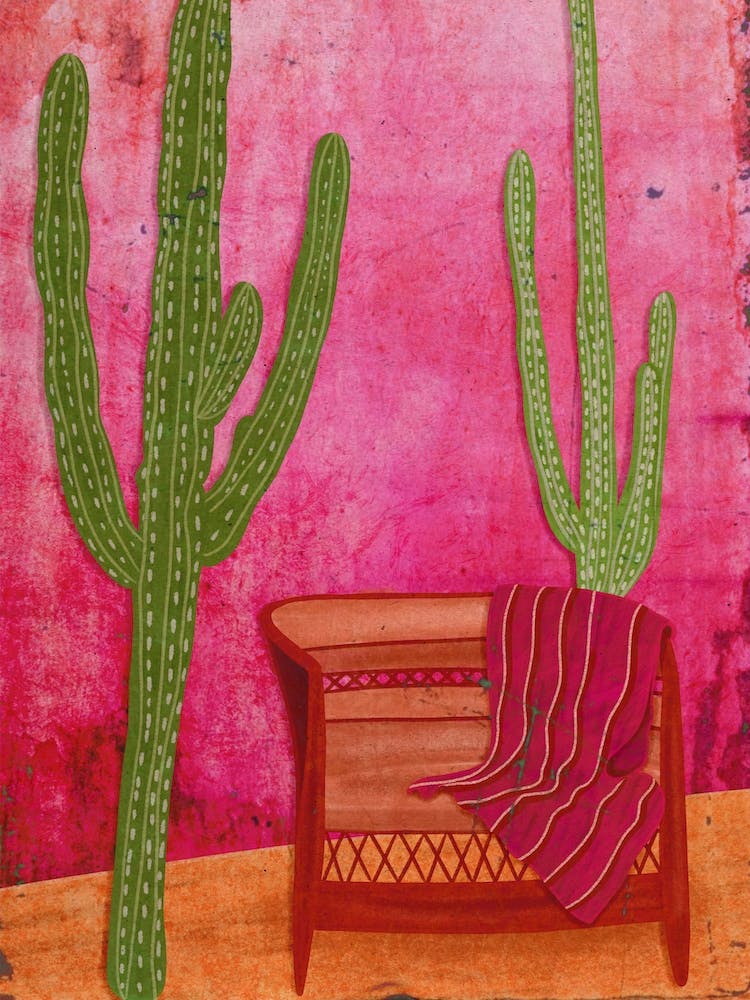 Cactus And Pink Wall
