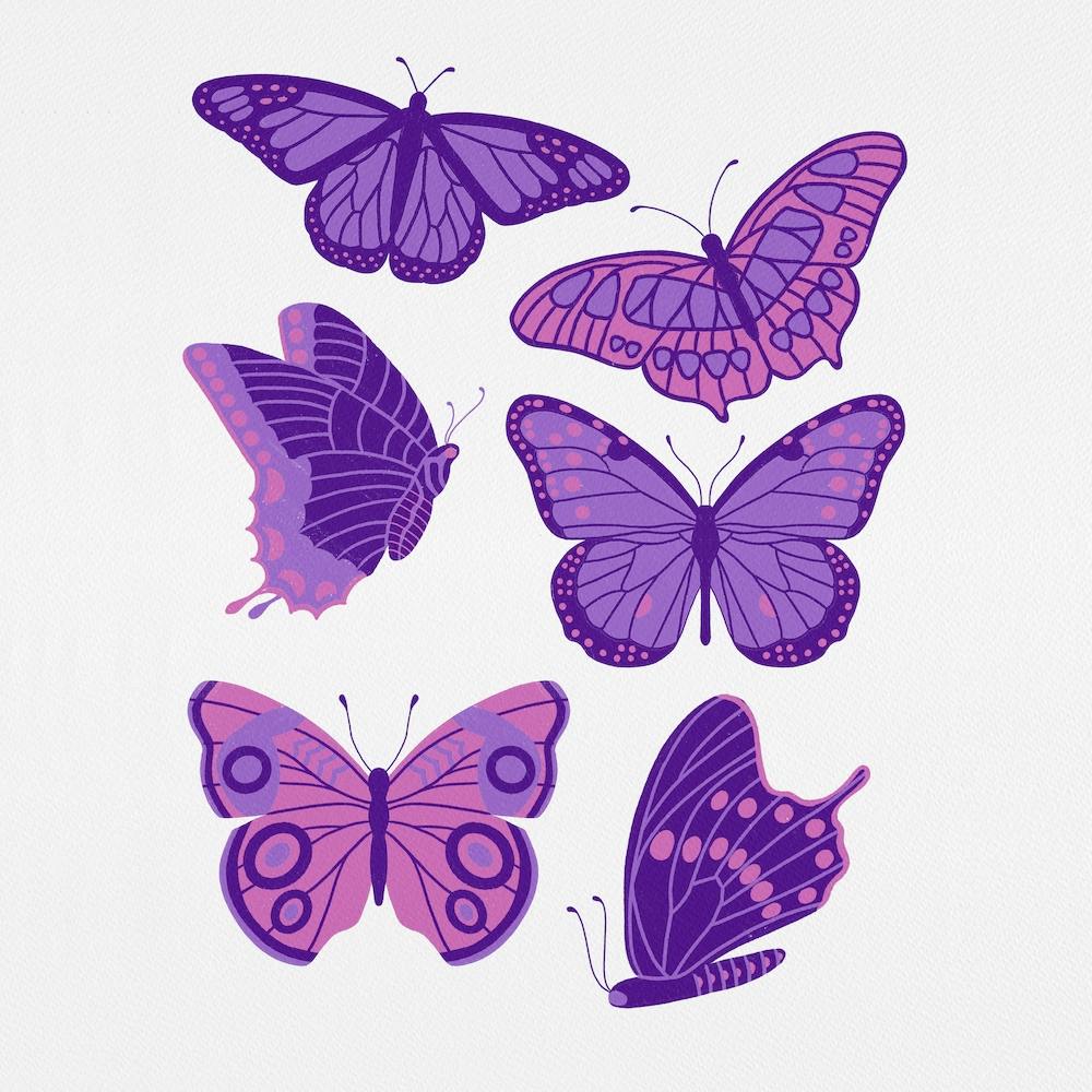 Texas Butterflies   Purple And Pink Square