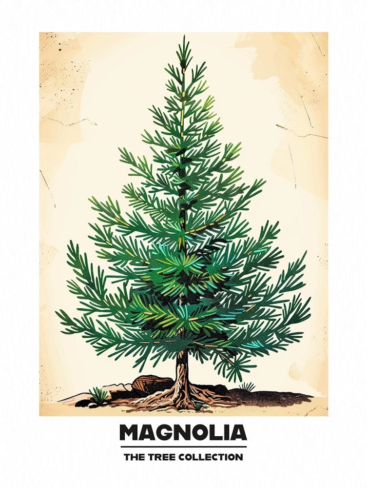 Magnolia Tree Storybook Illustration 4 Poster