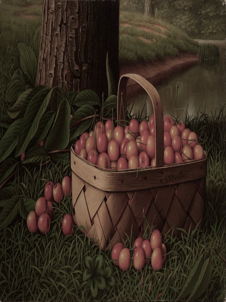 Basket Of Plums