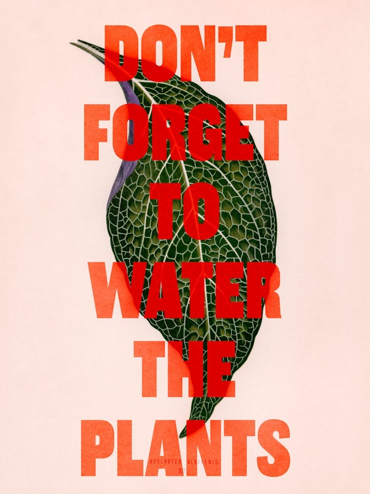 Don't Forget To Water The Plants