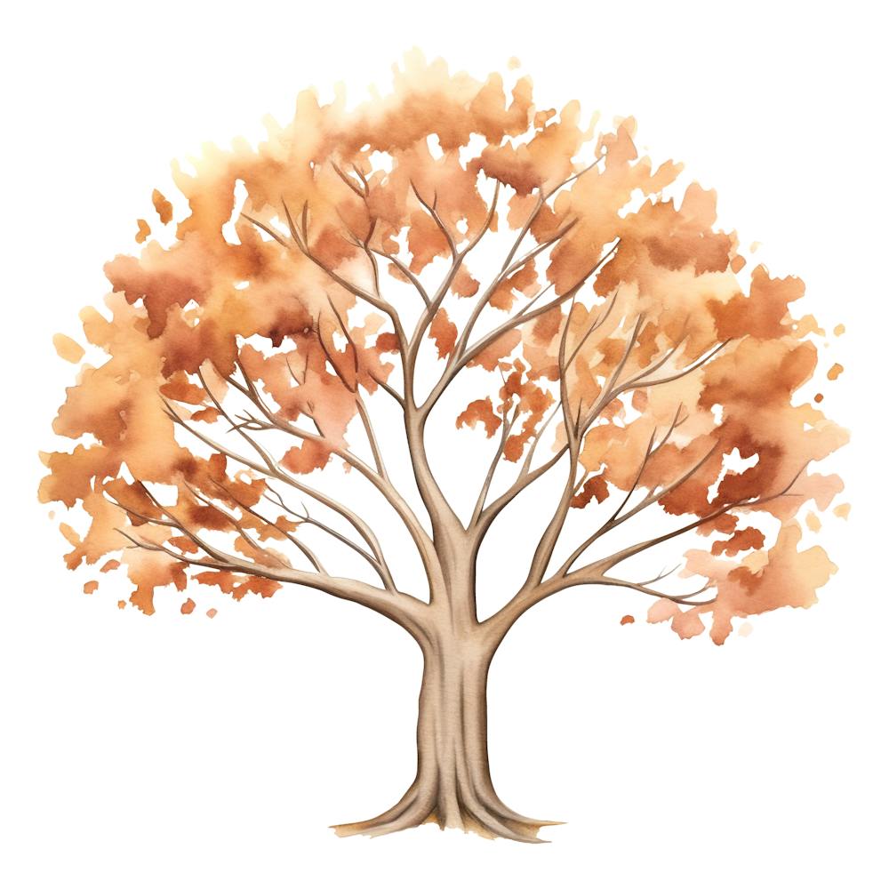 Autumn Tree 2