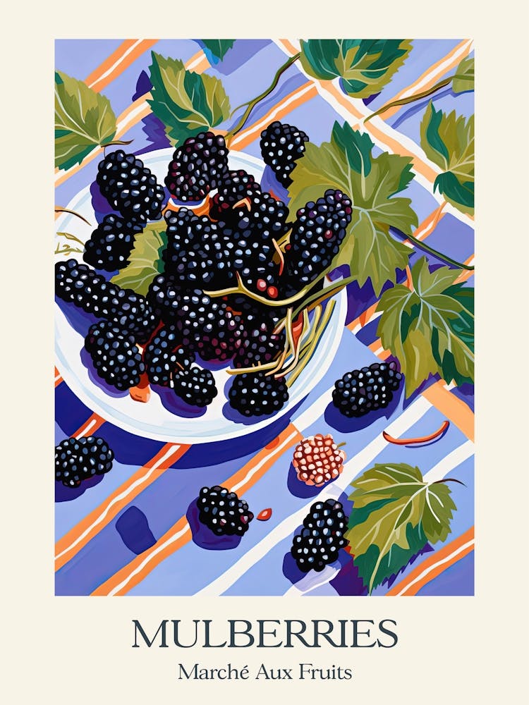 Marche Aux Fruits Mulberries Fruit Summer Illustration 4