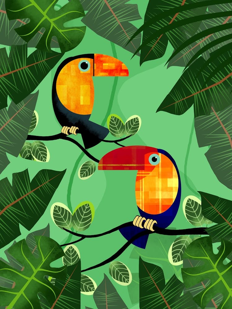 Toucans