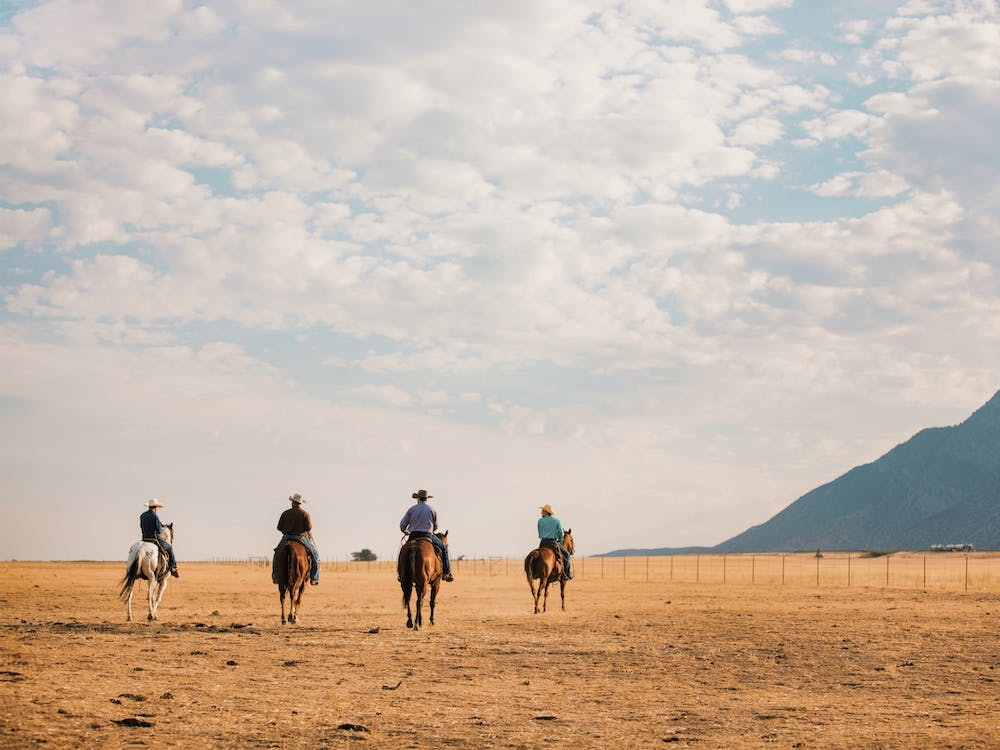 Cowboys Going To Roundup Cattle