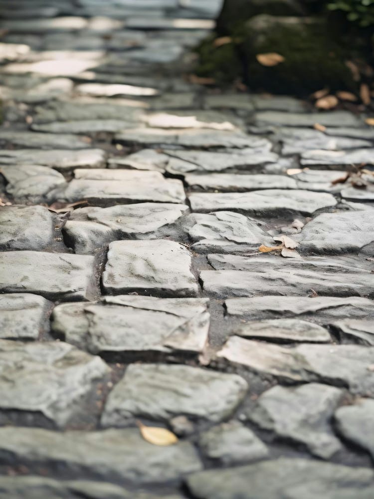 Stone Path In The Park