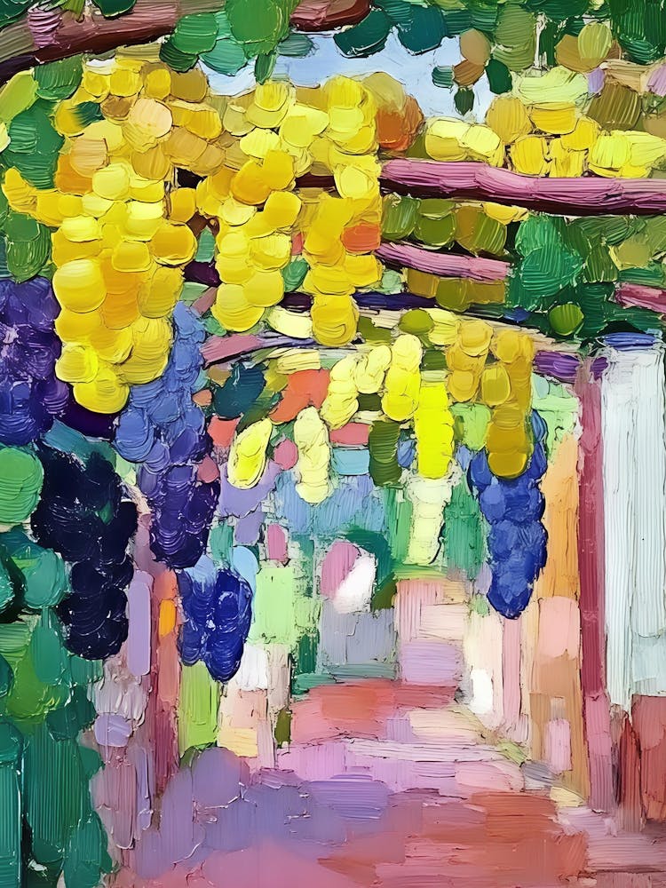 Grapes On A Pergola 1