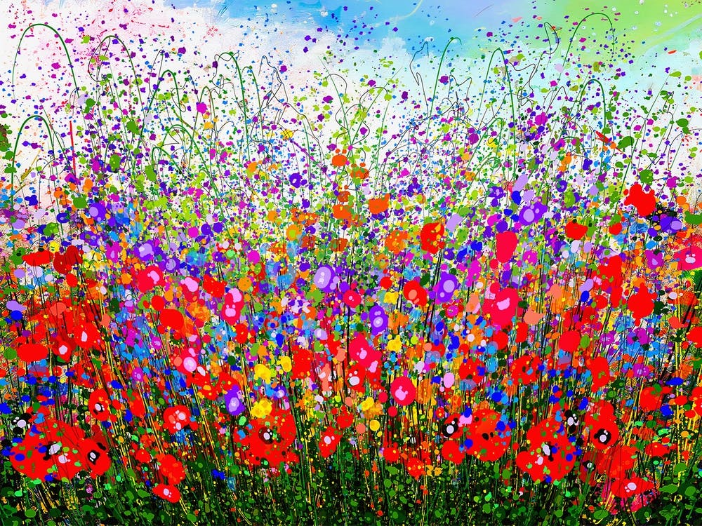 Wildflower celebration Meadows in spring