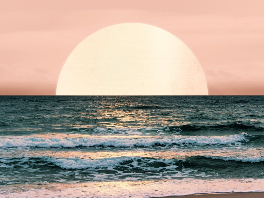 Summer Dreams- Ocean Beach Sunset